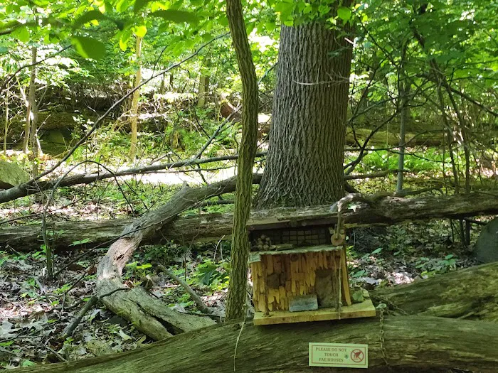 Tenafly Nature Center- Bellflower Fairy Trail Picture 6