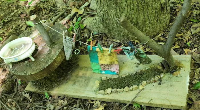 Tenafly Nature Center- Bellflower Fairy Trail Picture 9