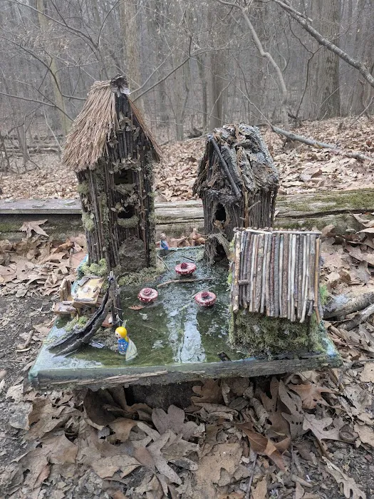 Tenafly Nature Center- Bellflower Fairy Trail Picture 10