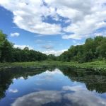 Tenafly Nature Center