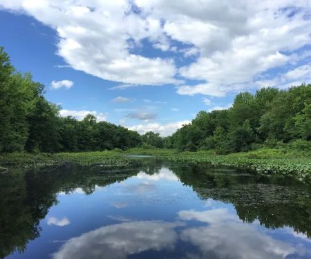 Tenafly Nature Center