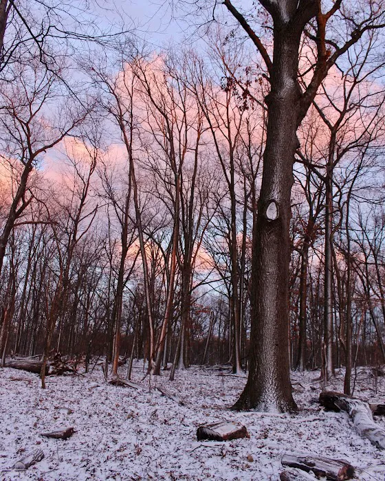 Tenafly Nature Center Picture 2