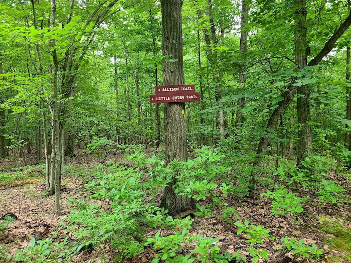Tenafly Nature Center Picture 4