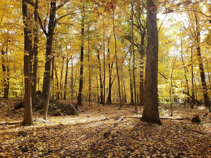 Tenafly Nature Center Picture 5