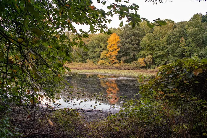 Tenafly Nature Center Picture 7