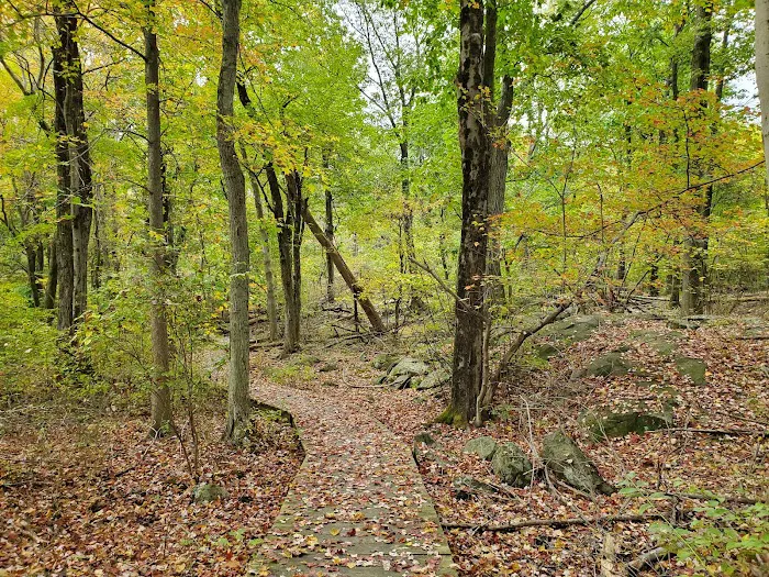 Tenafly Nature Center Picture 10