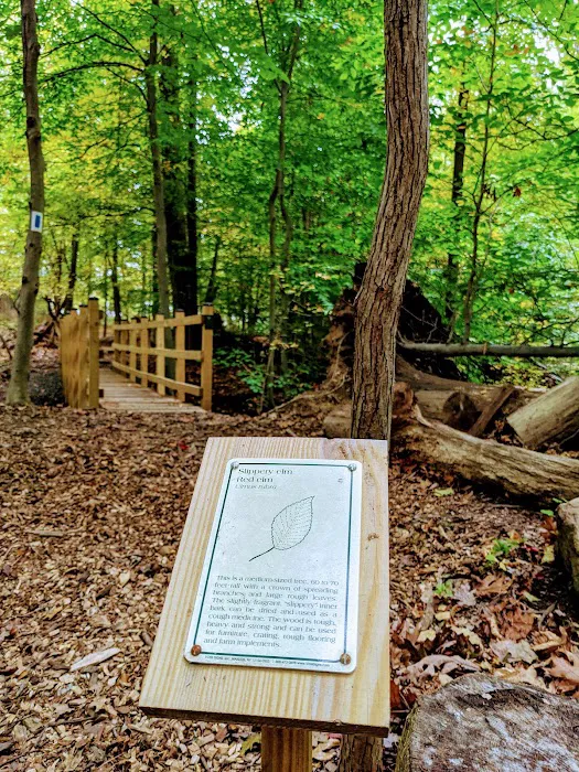 Churchill Nature Preserve Picture 5