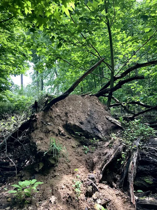 Churchill Nature Preserve Picture 1