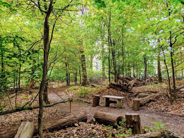 Churchill Nature Preserve Picture 3