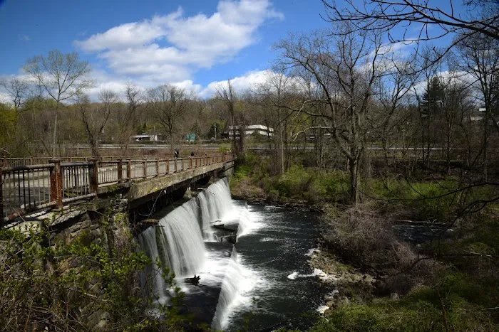 V.E Macy Park Picture 7