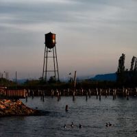 Kinnally Cove Park & kayak launch ico
