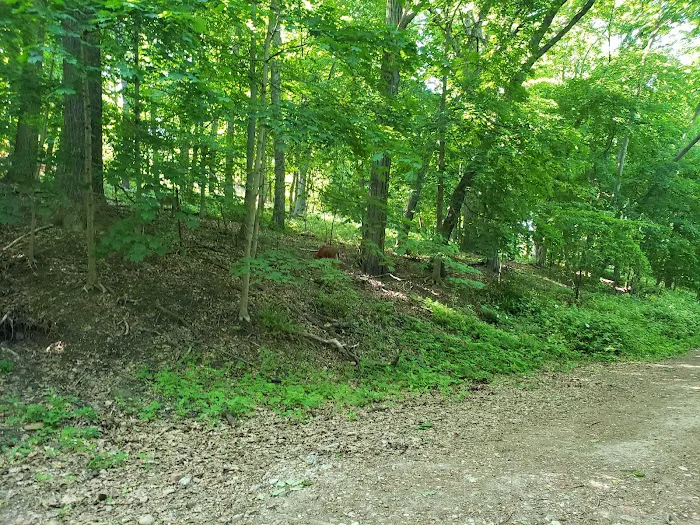 Old Croton Aqueduct State Historic Park Picture 8
