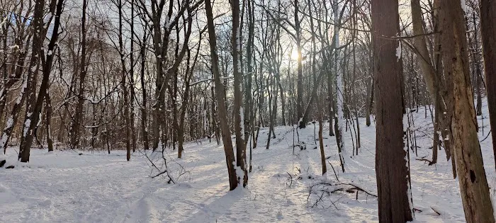 Juhring Nature Preserve Picture 5