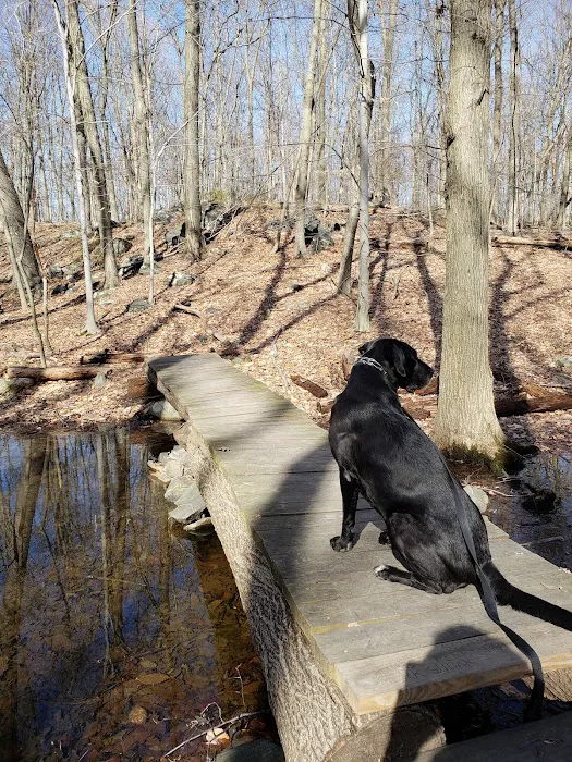 Juhring Nature Preserve Picture 2