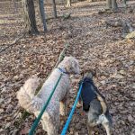Juhring Nature Preserve