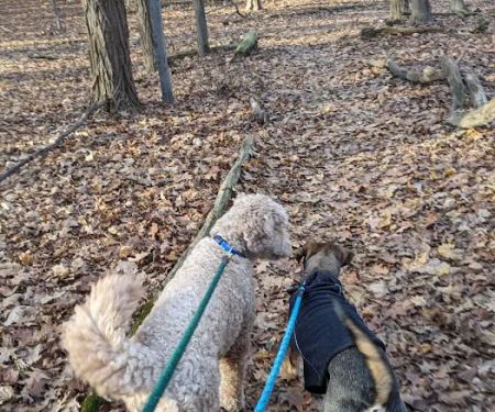 Juhring Nature Preserve
