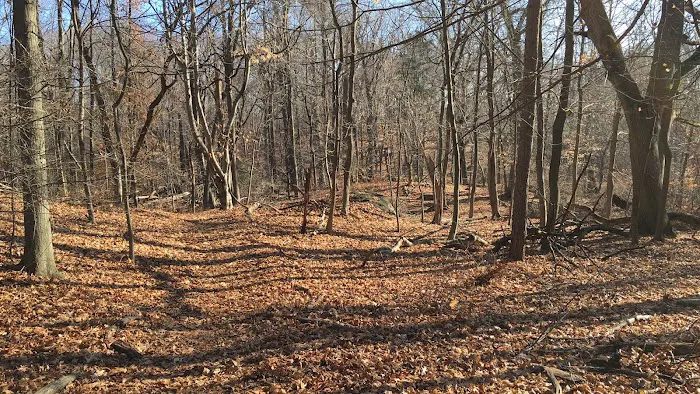 Juhring Nature Preserve Picture 6