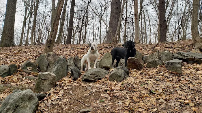Juhring Nature Preserve Picture 7