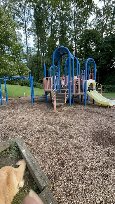 Secor Woods Park Picture 2