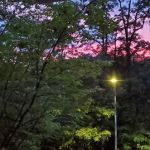 Secor Woods Park