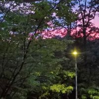 Secor Woods Park ico