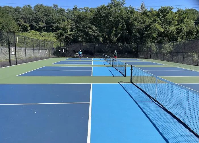 East Rumbrook Park Pickleball Courts Picture 5