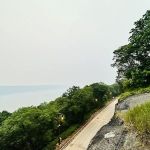 Overlook Meadow