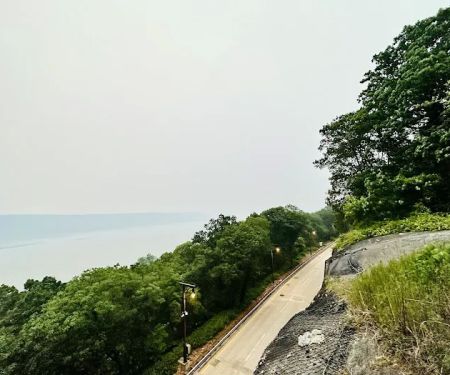 Overlook Meadow