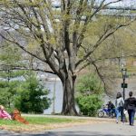 Inwood Hill Park