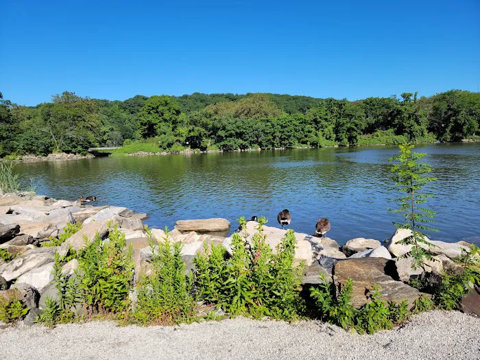 Inwood Hill Park Picture 3