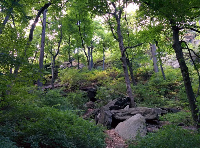 Inwood Hill Park Picture 10