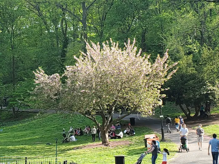 Anne Loftus Playground Picture 2