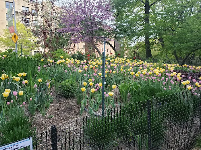 Anne Loftus Playground Picture 1