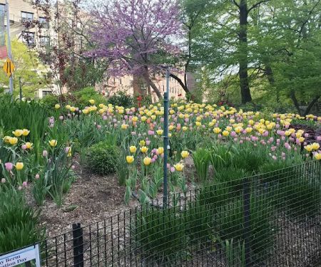 Anne Loftus Playground