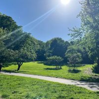 Archwood Park ico