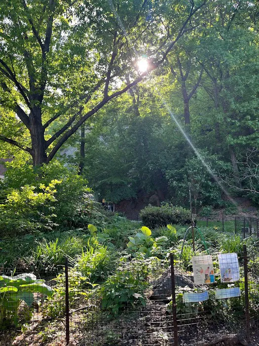 Archwood Park Picture 4