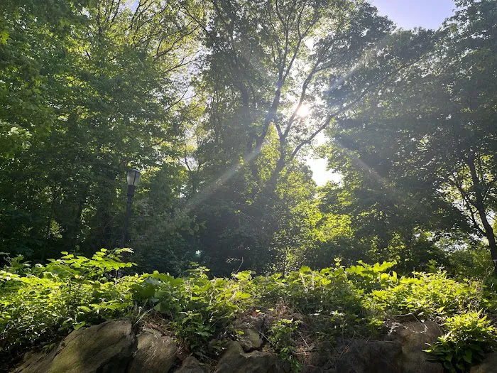Archwood Park Picture 8