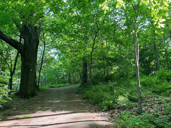 Archwood Park Picture 7