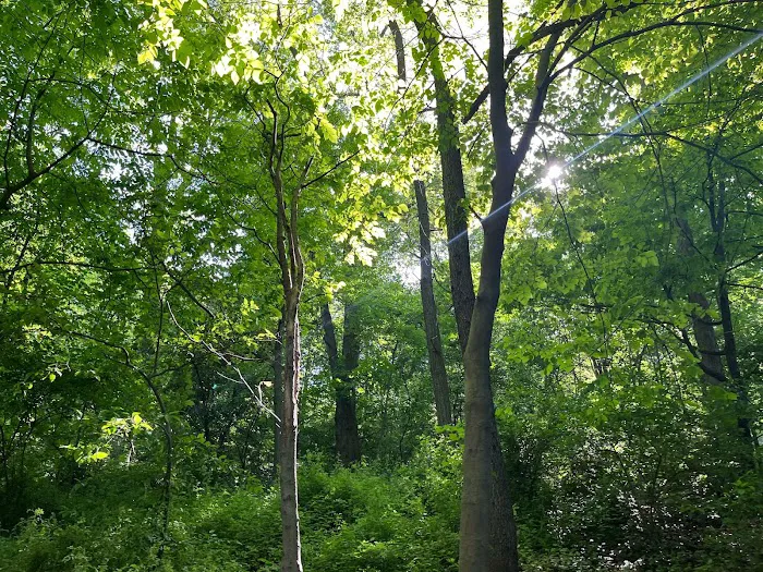 Archwood Park Picture 10