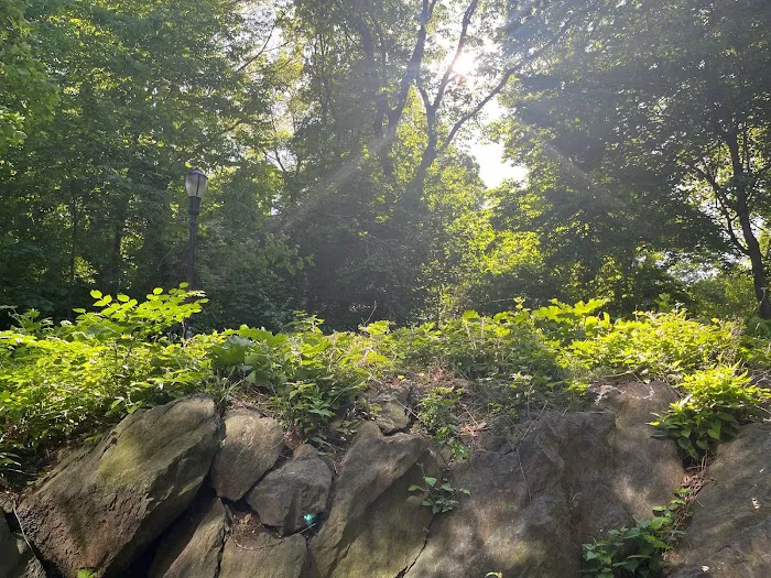 Archwood Park Picture 9