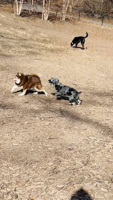 Sir William's Dog Run Picture 1