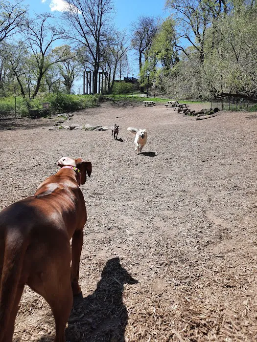 Sir William's Dog Run Picture 9