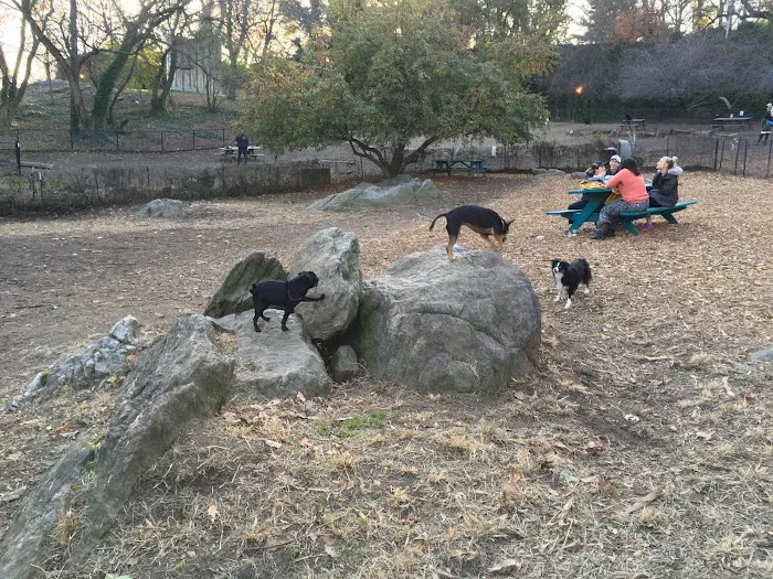 Sir William's Dog Run Picture 4