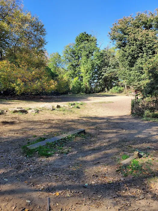 Sir William's Dog Run Picture 3