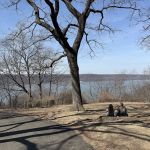 Cloisters Lawn