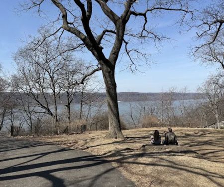 Cloisters Lawn