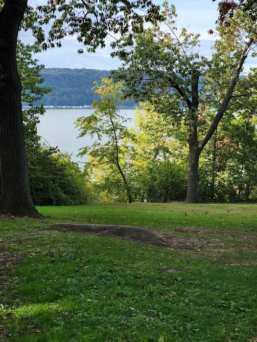 Abby's Lawn Picture 1