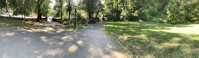 Abby's Lawn Picture 4