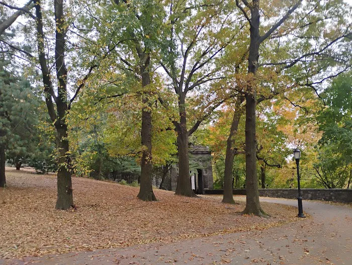 Linden Terrace Picture 7