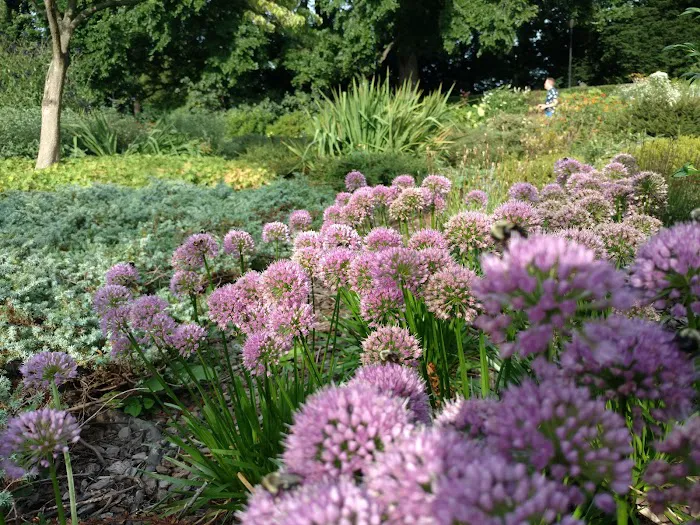 Heather Garden Picture 8
